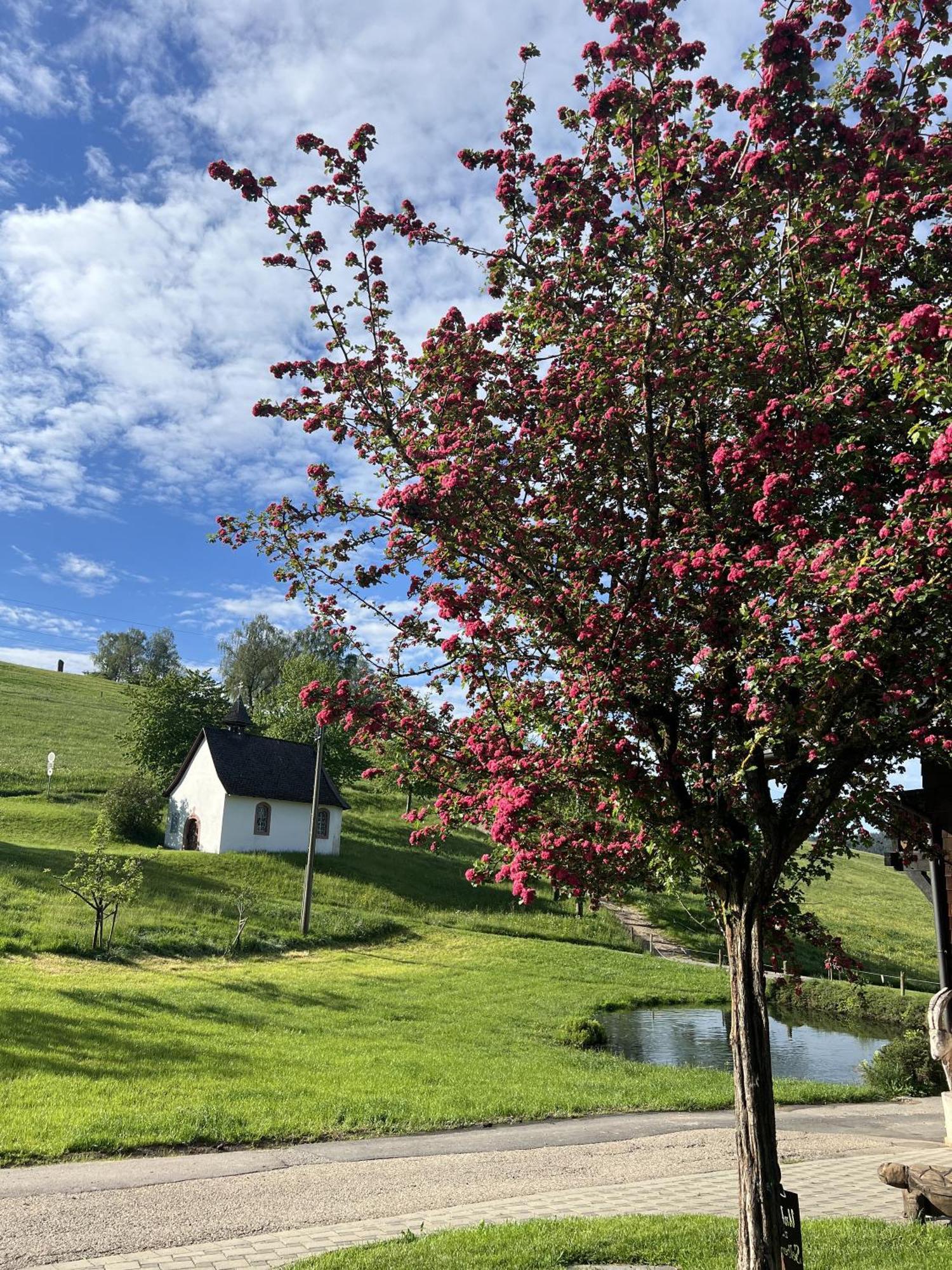 Kapellenhof Ferienwohnungen Triberg im Schwarzwald Kültér fotó
